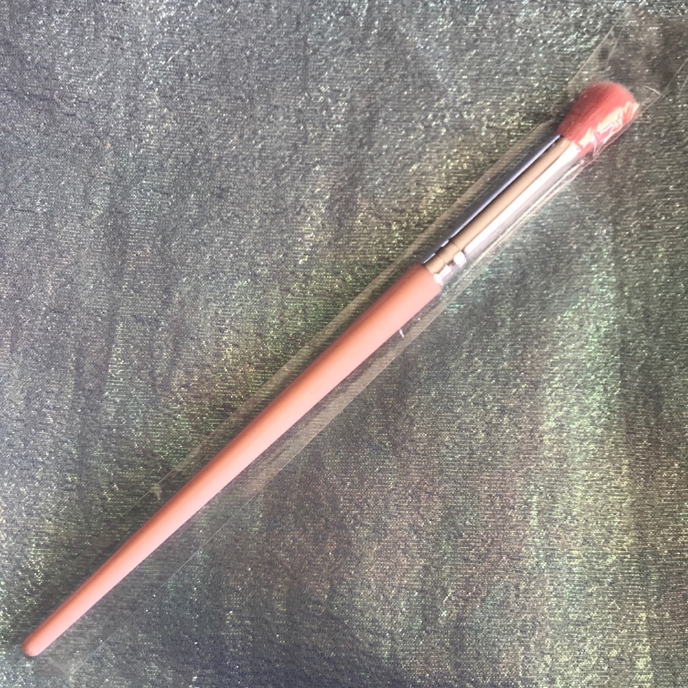 10/$10 Shein Pink Eyeshadow Brush